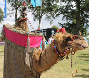 Comedy Walkabout Camel Act - Arabian Nights themed entertainemnt
